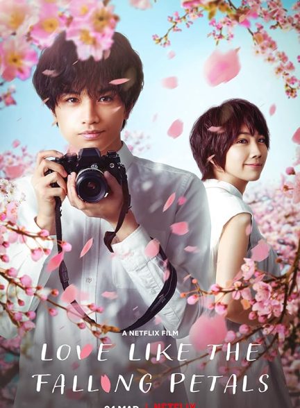 دانلود فیلم Love Like the Falling Petals