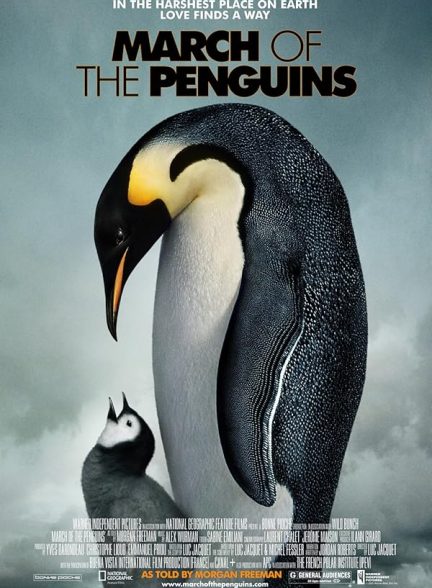 دانلود فیلم March of the Penguins