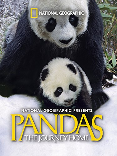 دانلود فیلم Pandas: The Journey Home