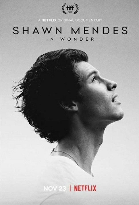 دانلود فیلم Shawn Mendes: In Wonder