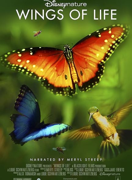 دانلود فیلم Disneynature: Wings of Life