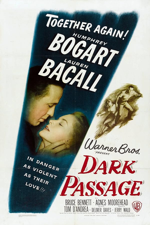 دانلود فیلم Dark Passage