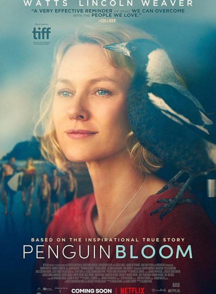 دانلود فیلم Penguin Bloom