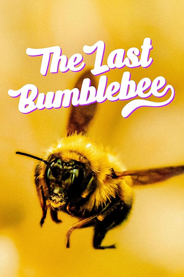 دانلود فیلم The Last Bumblebee