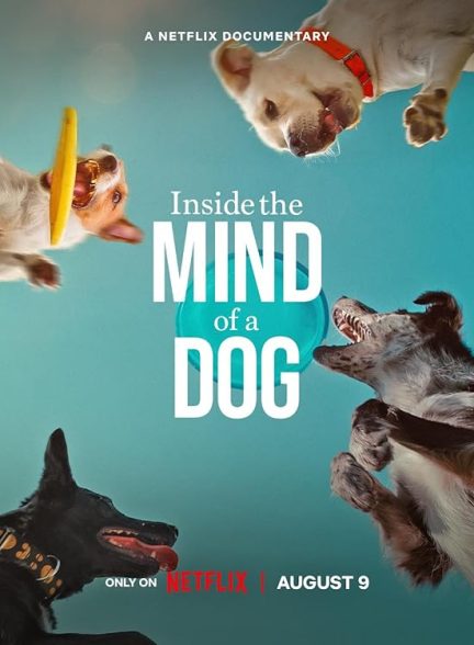 دانلود فیلم Inside the Mind of a Dog